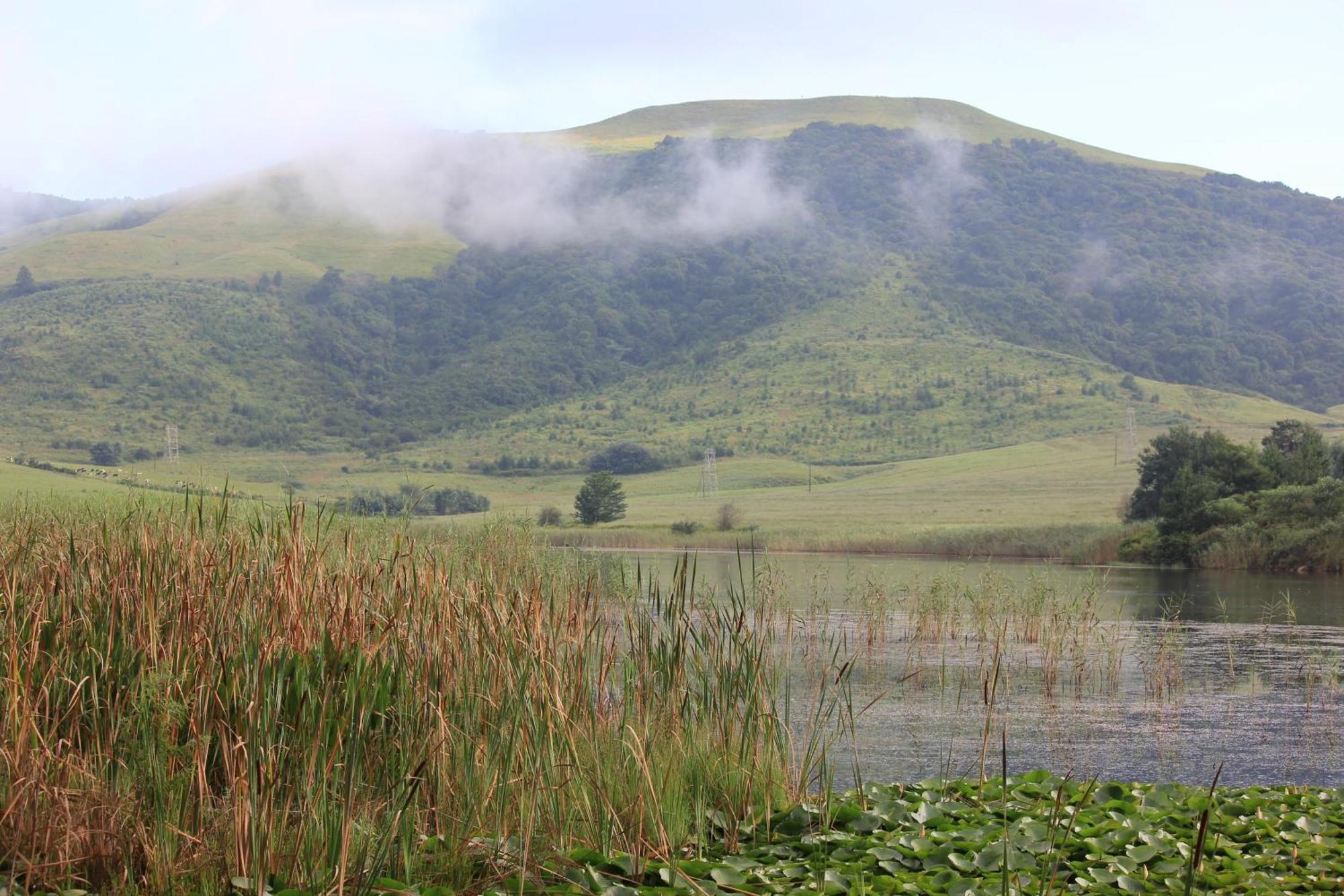 Beacon Vlei Guest Farm Hotel Balgowan Bagian luar foto